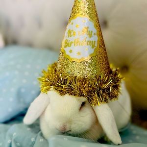 Meet your Posher, Roxana